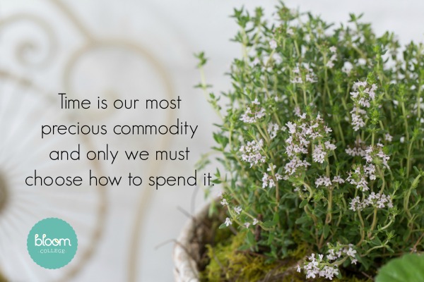 does wooly thyme bloom