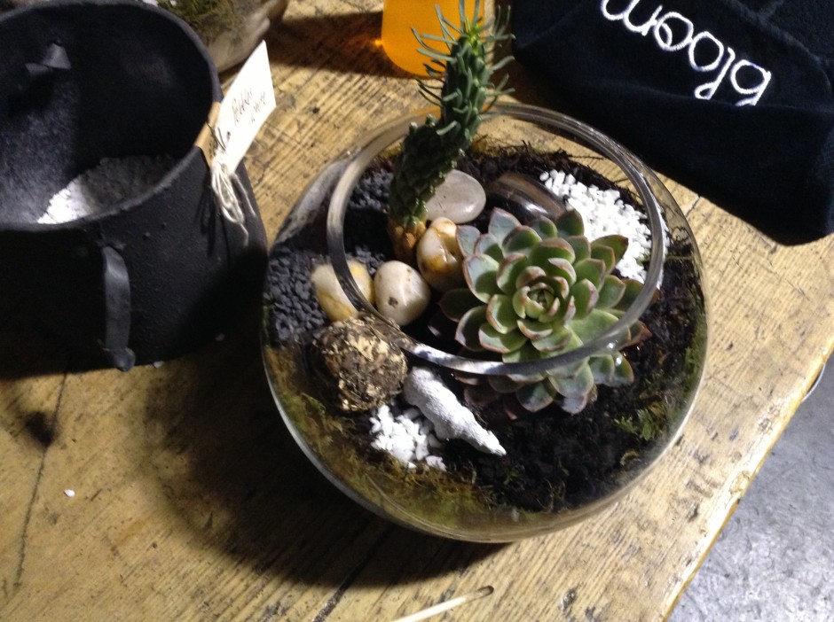 Terrarium Workshop