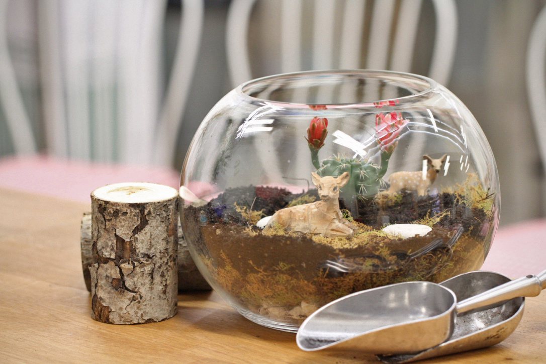 Make a professional Glass Fish Bowl Terrarium