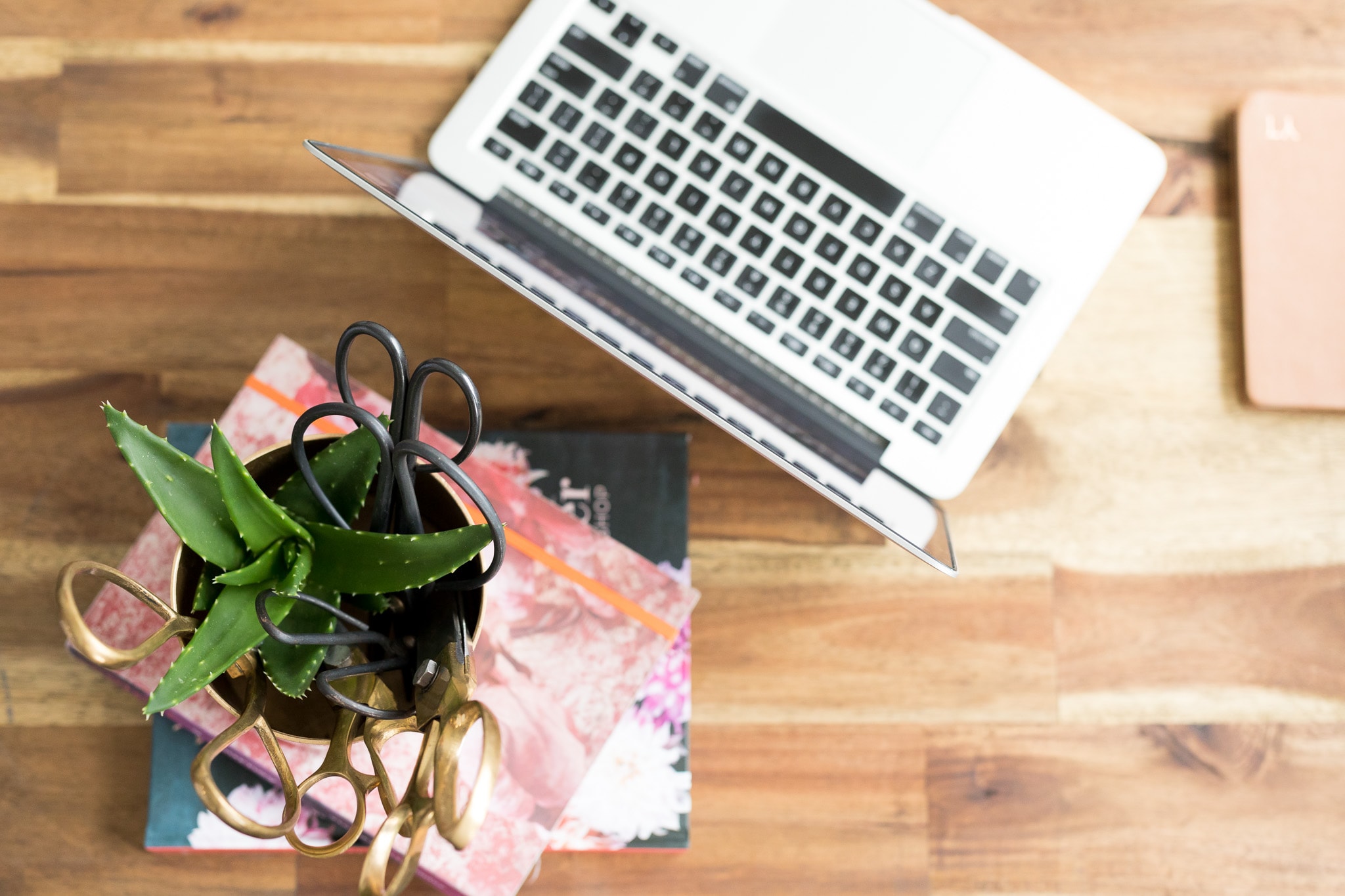 Intro to Bloom in Business