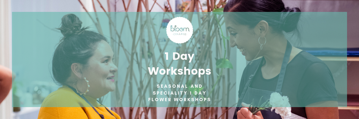 1_day_workshops_blog _banner