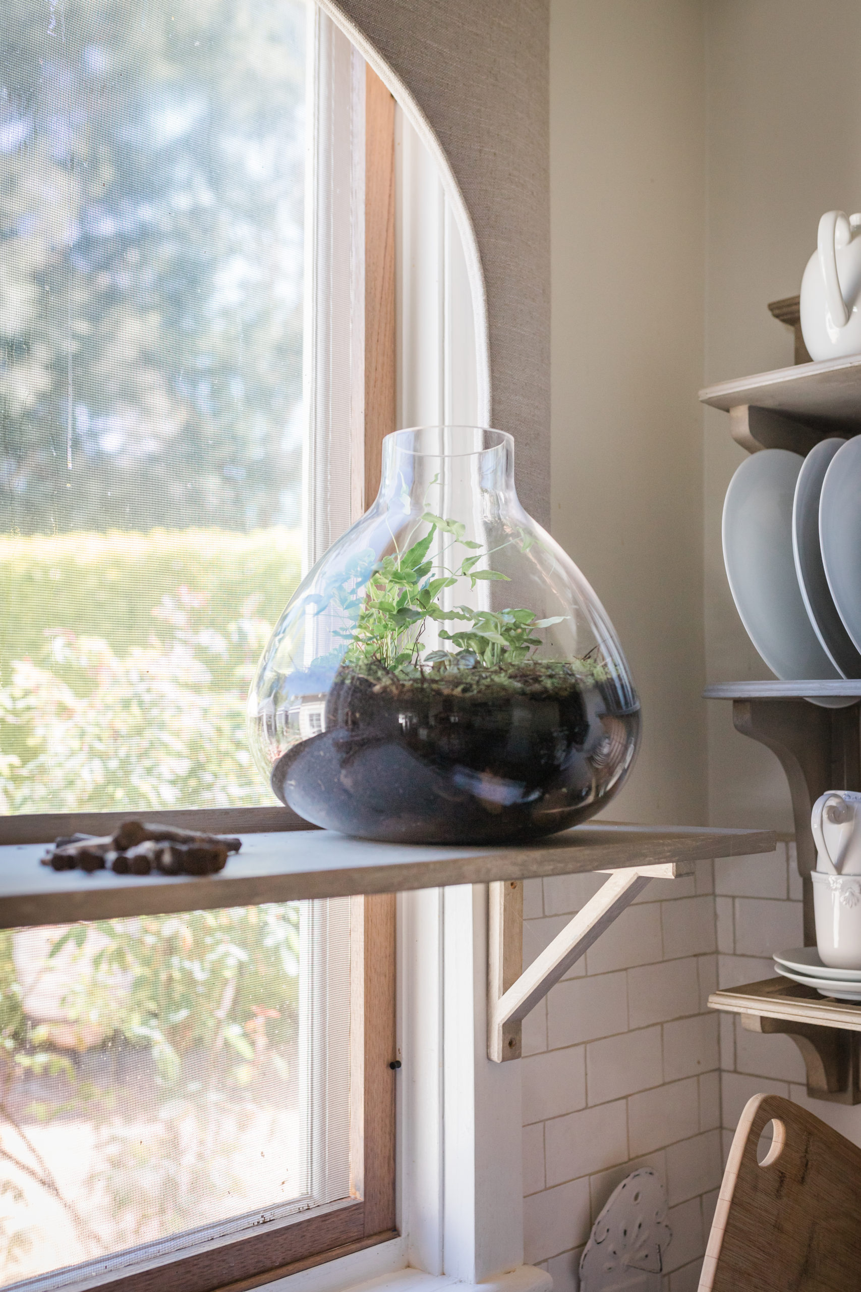 How to make a Terrarium Bloom College