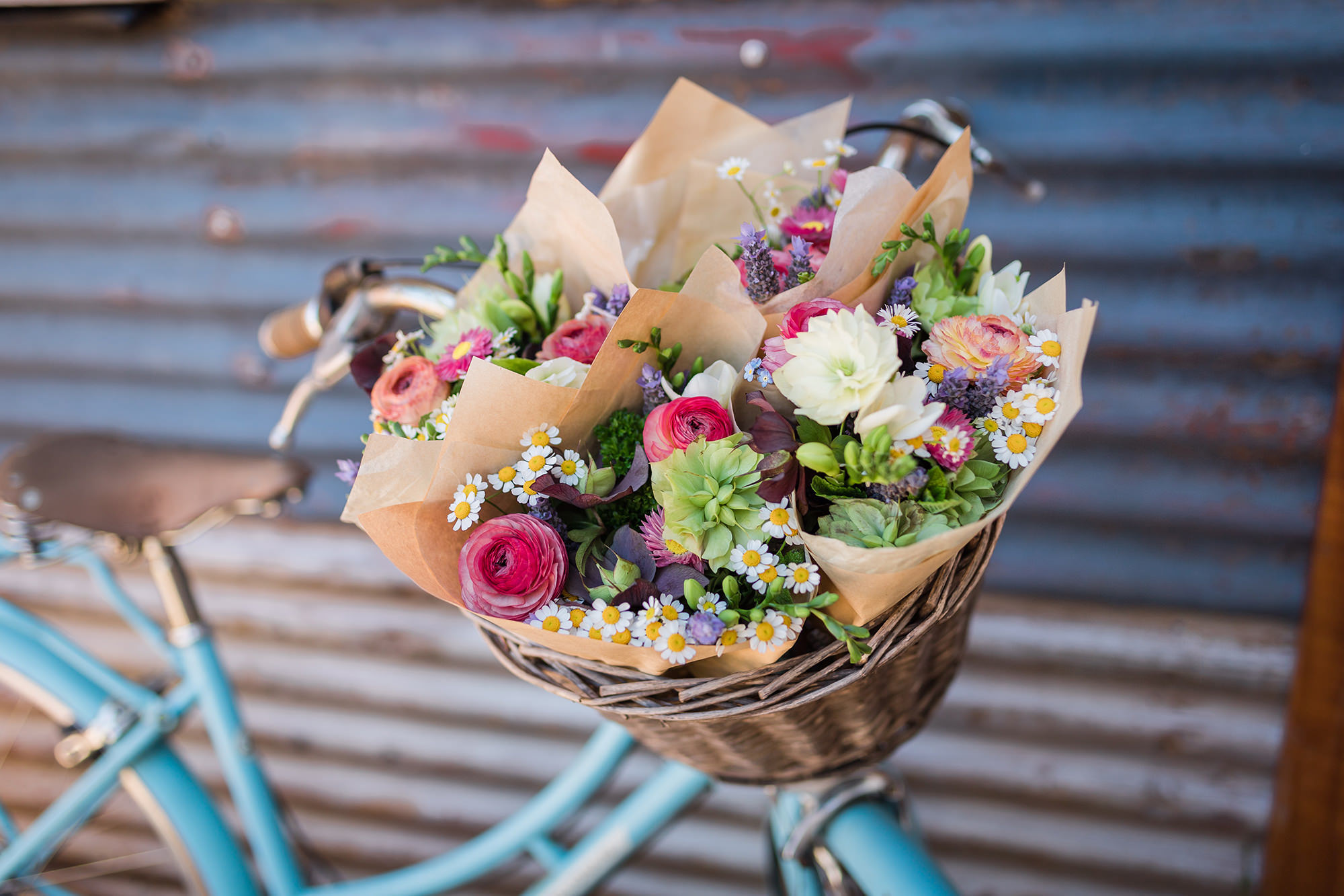 Flower Therapy Sessions