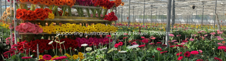 Australian flower industry 