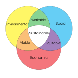 Sustainability in the Floristry Industry | Bloom College