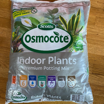 indoor plant soil
