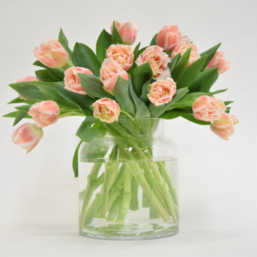 tulips in a vase