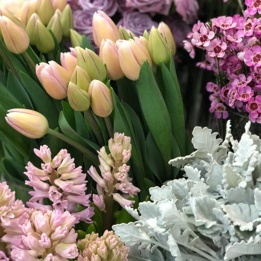 Floristry 101 The Do’s And Don’ts Of Caring For Fresh Stock Bloom