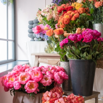 pink and orange flowers in buckets